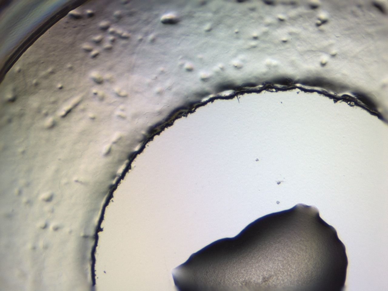 0493_G7_ImagerDefaults_3.jpg