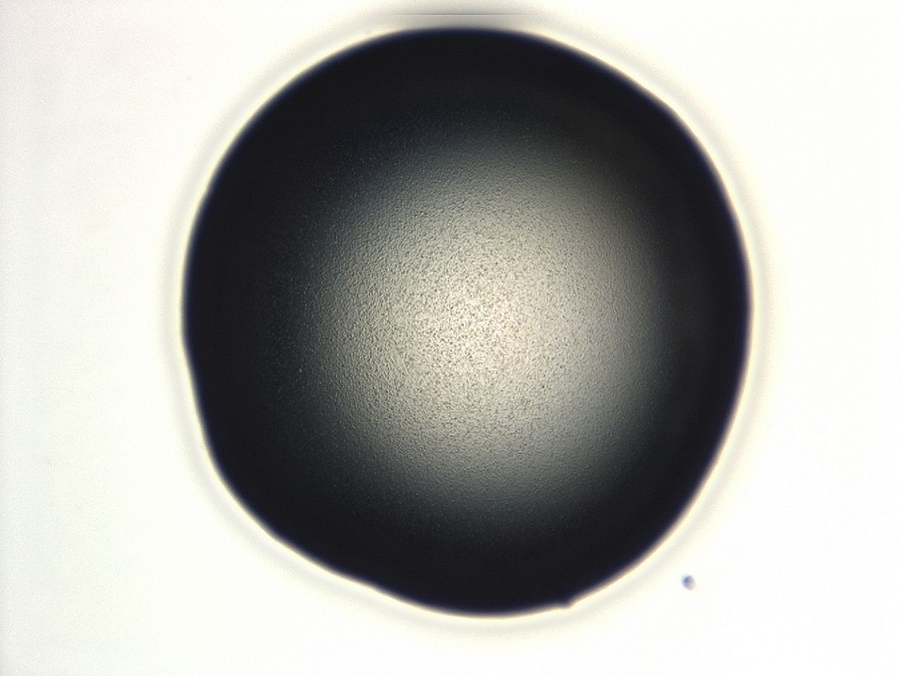 0493_G9_ImagerDefaults_0.jpg