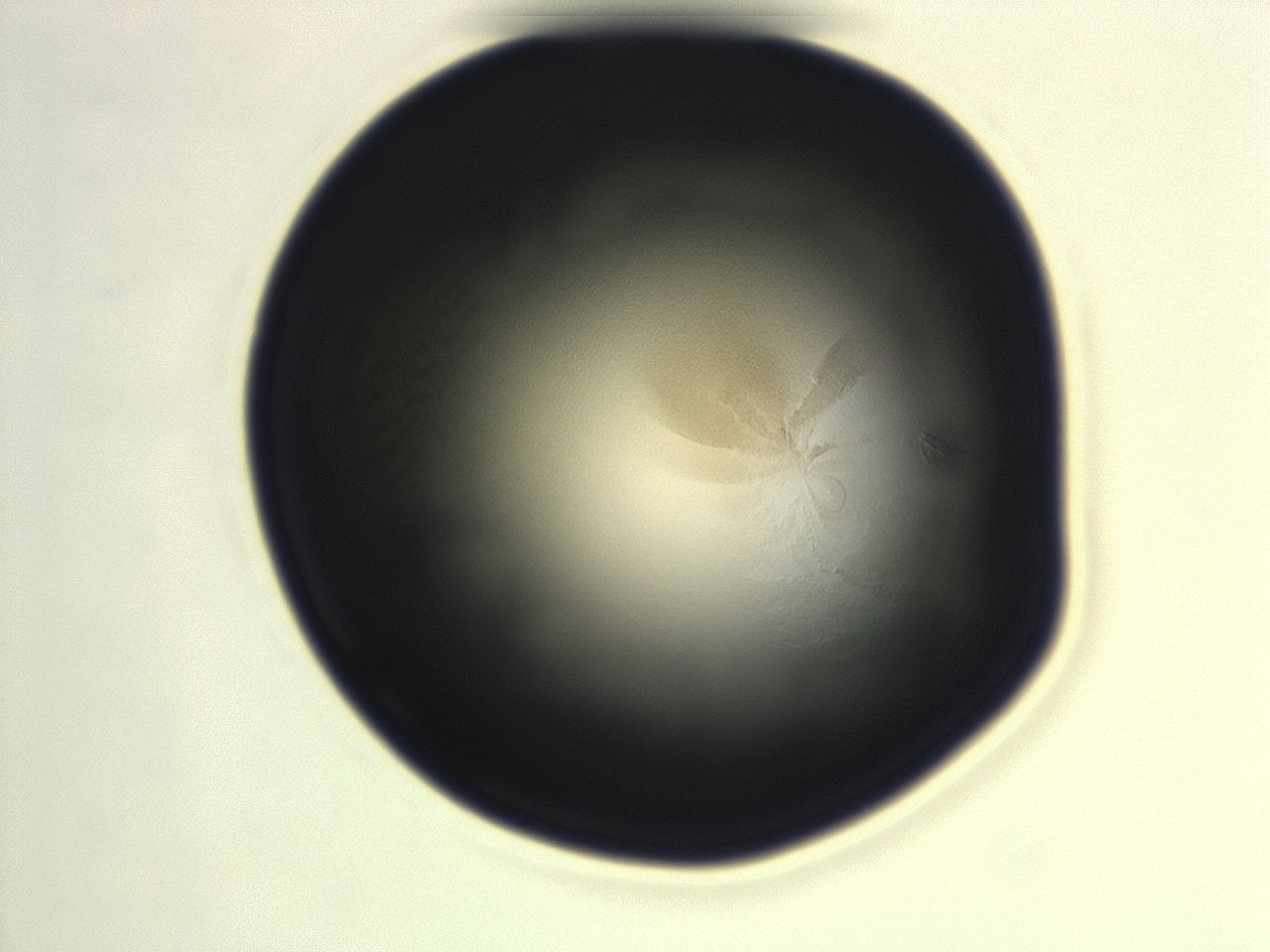 0493_G10_ImagerDefaults_3.jpg