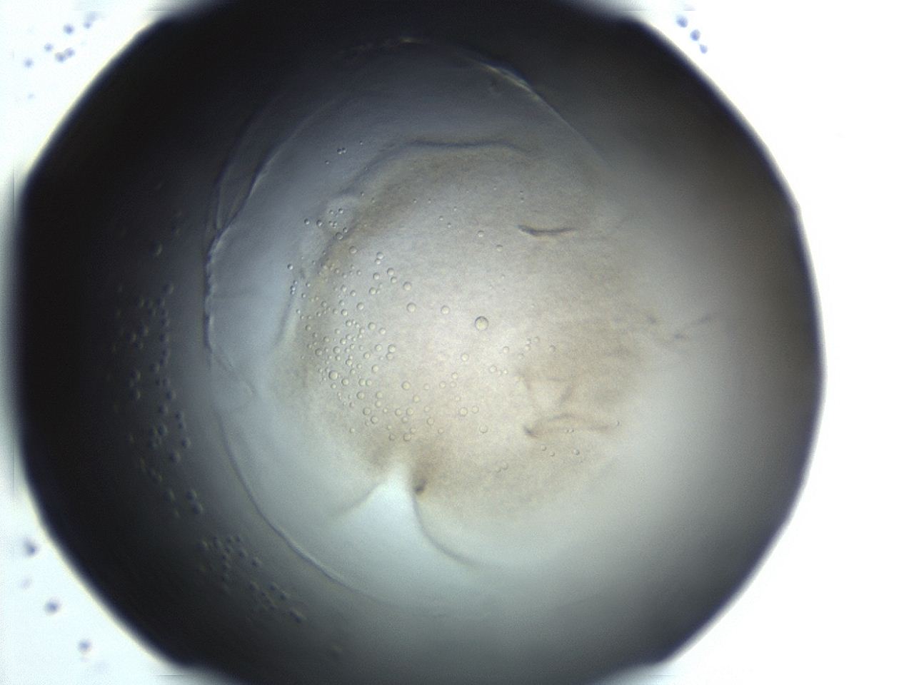 0493_G11_ImagerDefaults_3.jpg