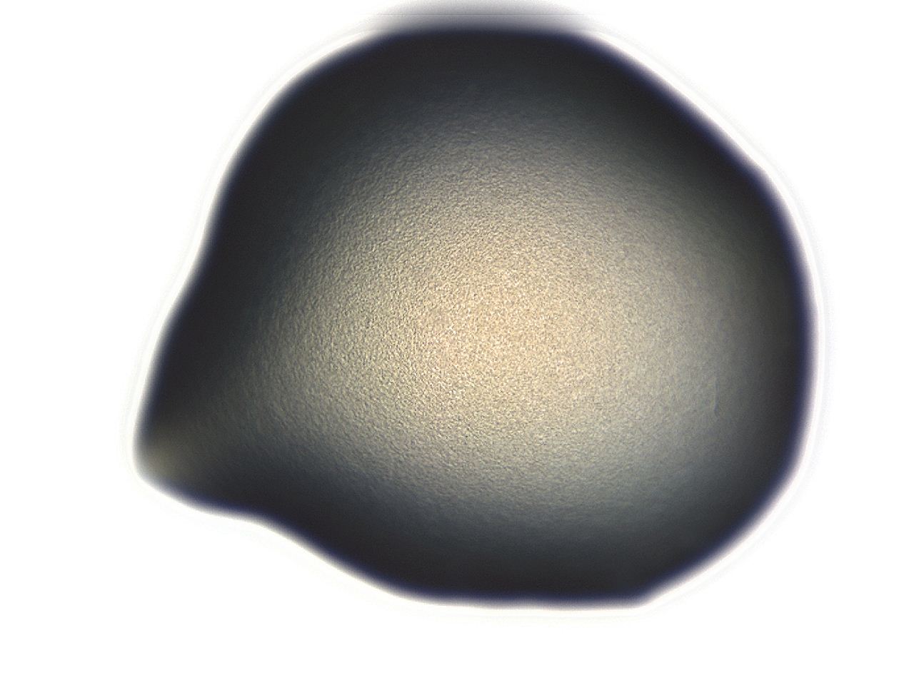 0493_G12_ImagerDefaults_3.jpg