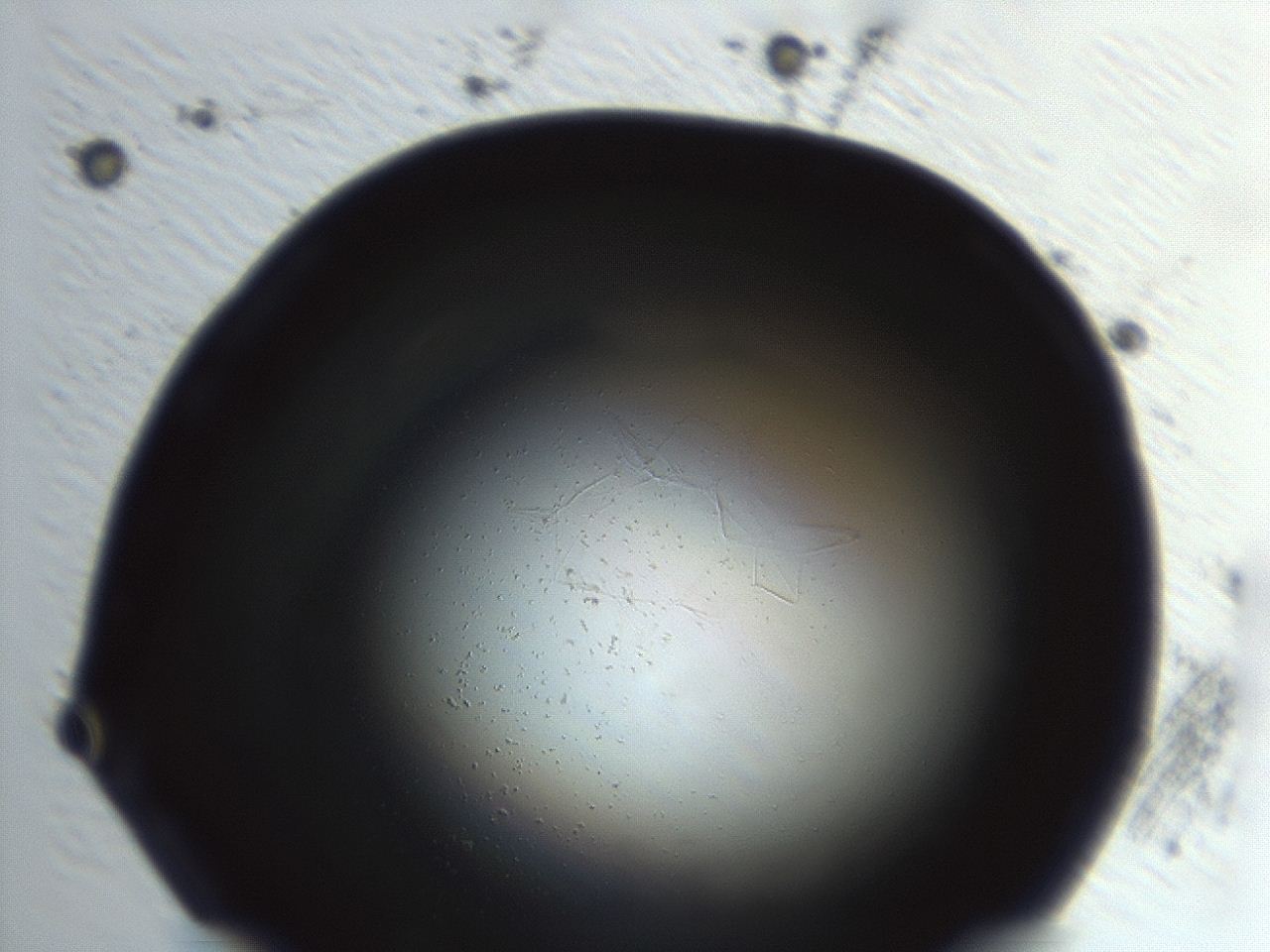 0493_H1_ImagerDefaults_0.jpg