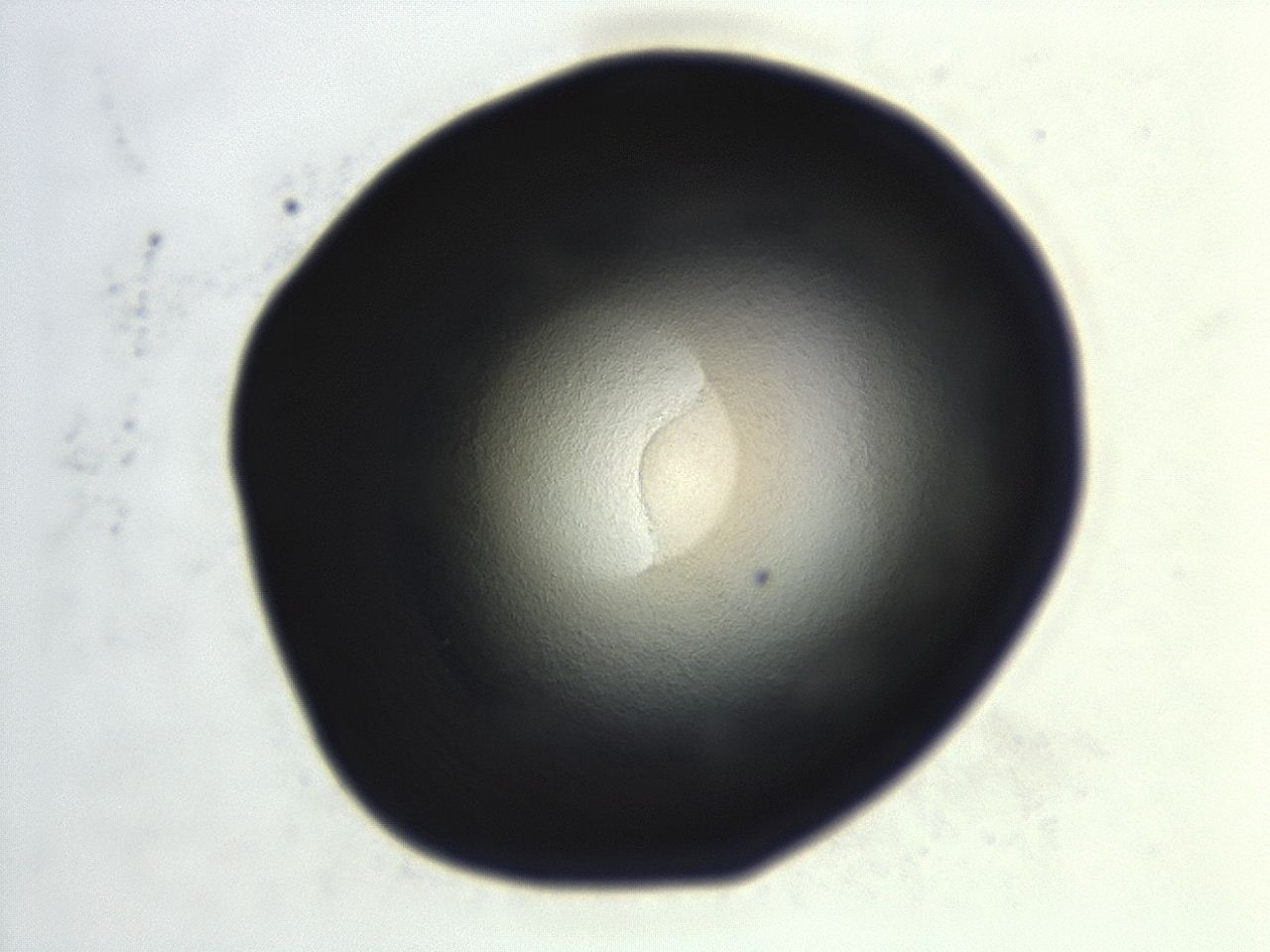 0493_H3_ImagerDefaults_3.jpg