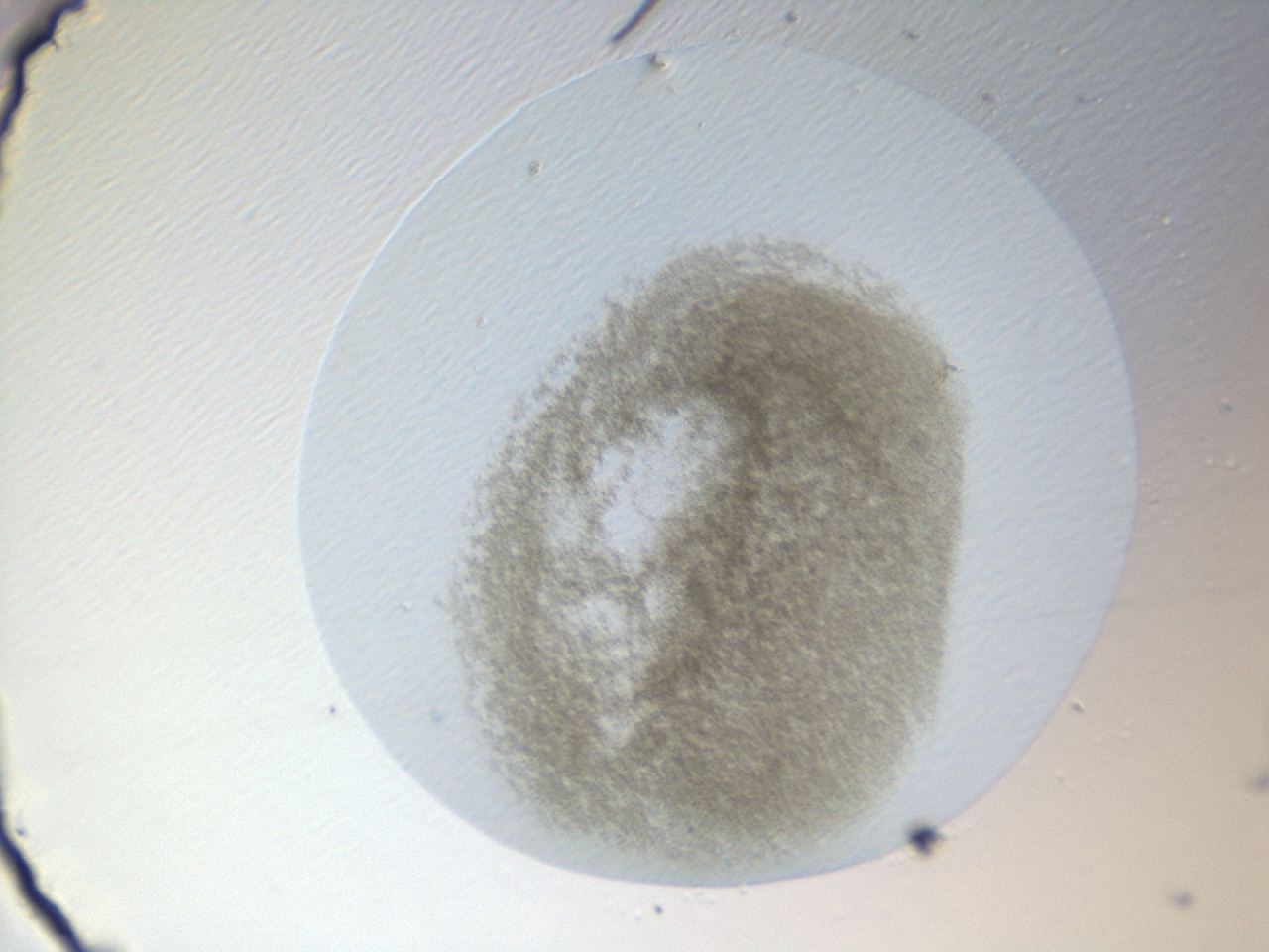 0493_H4_ImagerDefaults_3.jpg