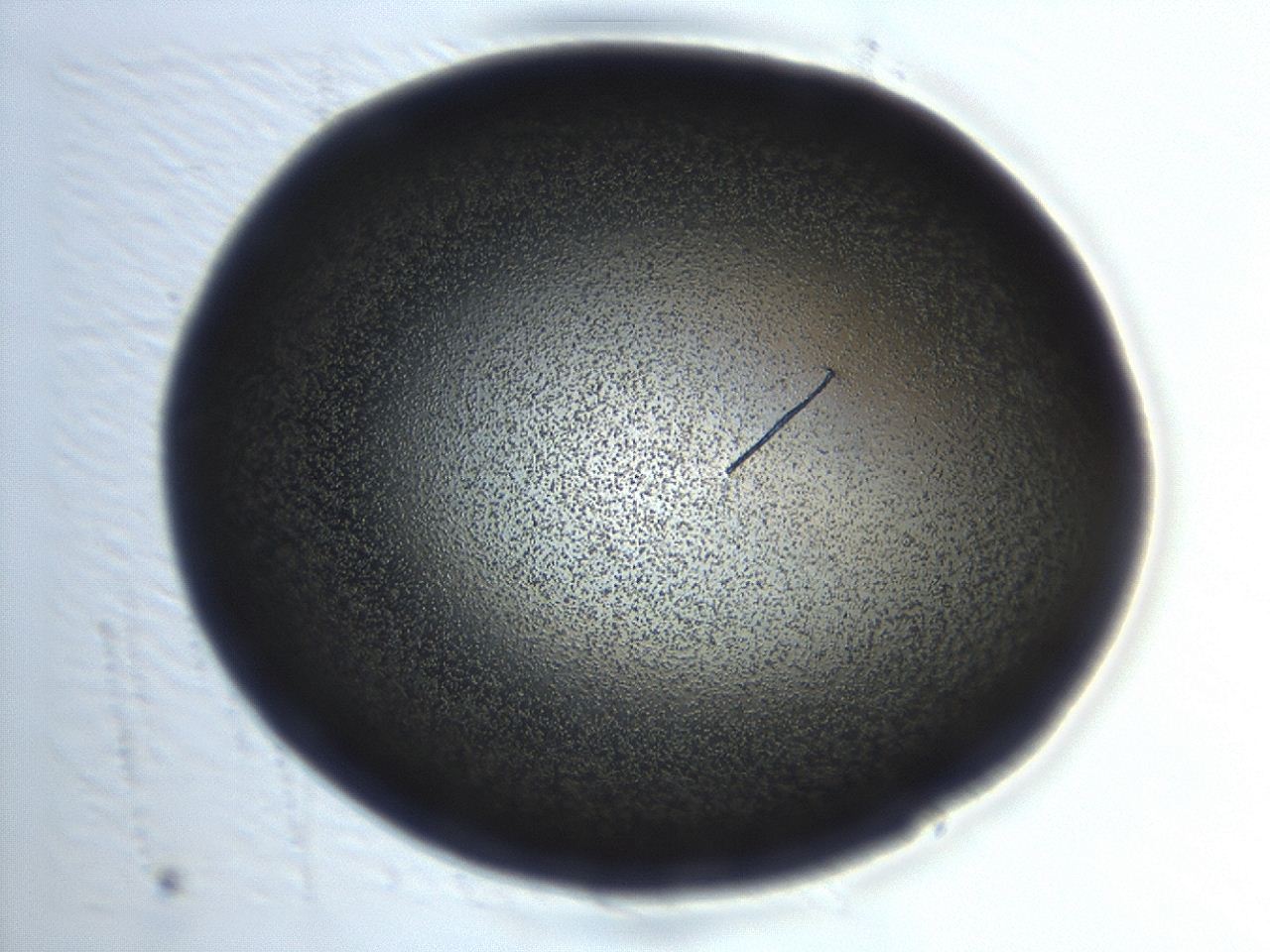 0493_H5_ImagerDefaults_3.jpg