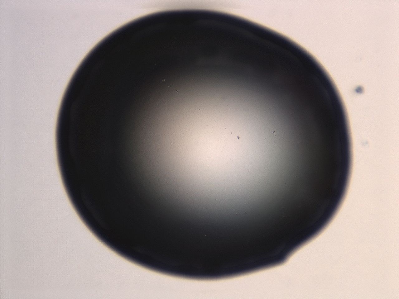 0493_H6_ImagerDefaults_0.jpg