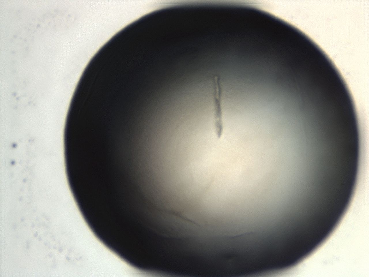 0493_H7_ImagerDefaults_3.jpg