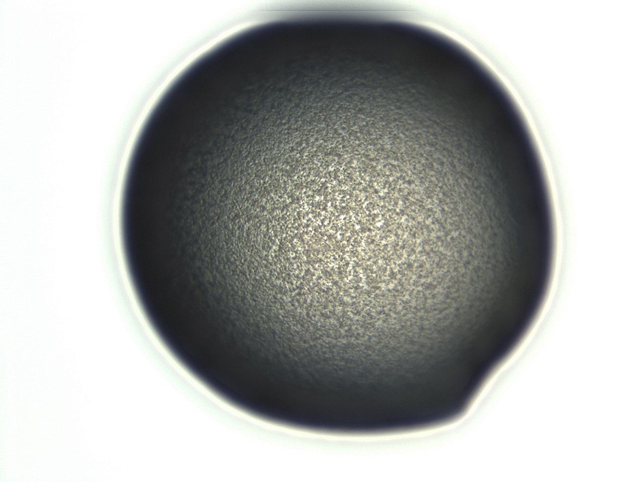 0493_H11_ImagerDefaults_3.jpg