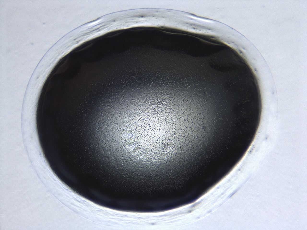 0494_C1_ImagerDefaults_3.jpg