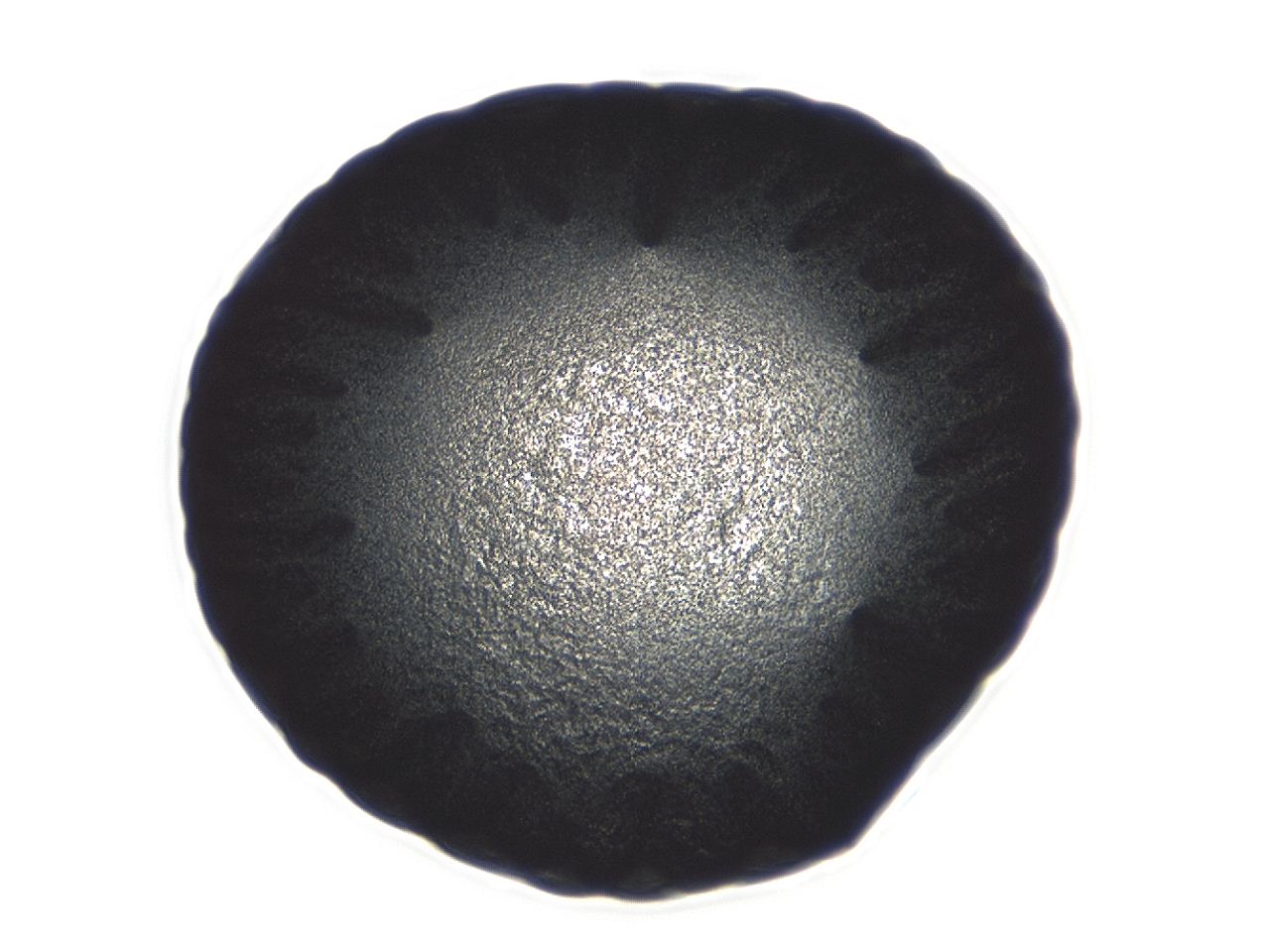 0494_C8_ImagerDefaults_3.jpg