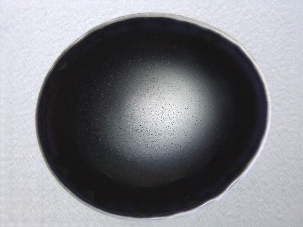 0494_C10_ImagerDefaults_0.jpg