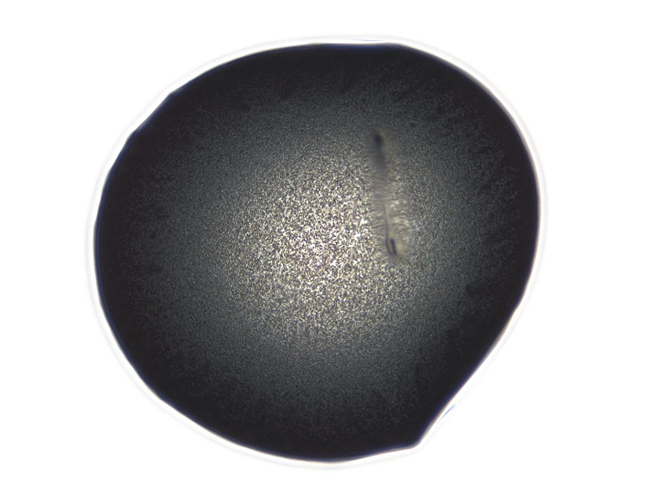 0494_C7_ImagerDefaults_3.jpg