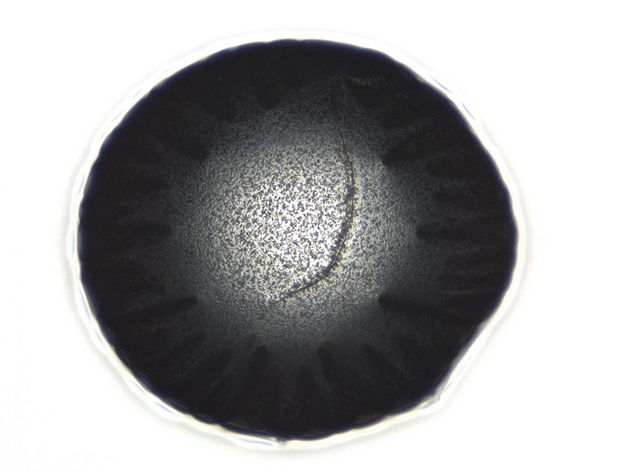 0494_C11_ImagerDefaults_3.jpg