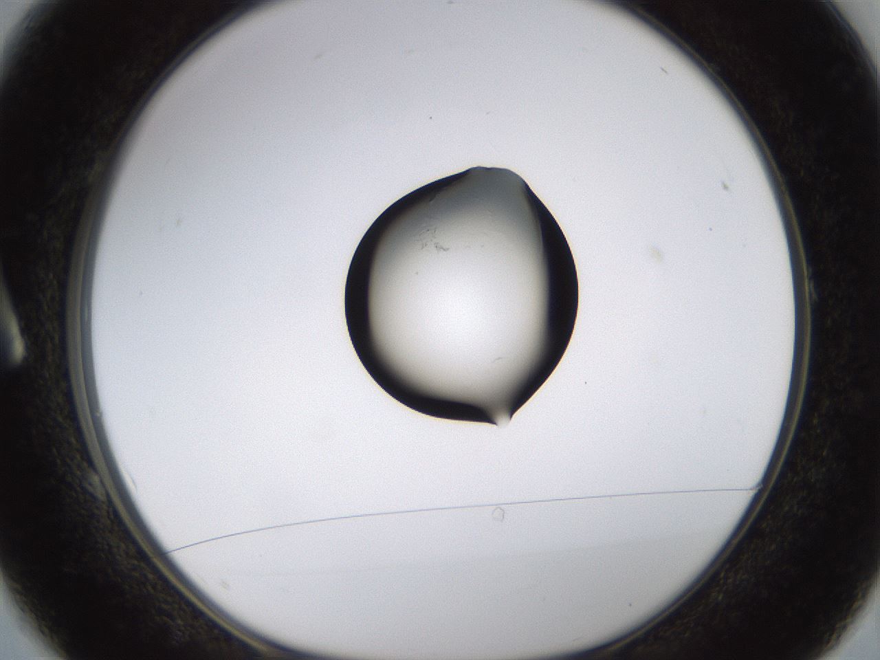 folderID527_plateID1527_batchID6072_wellNum1_profileID1_d1_r98225_ef.jpg