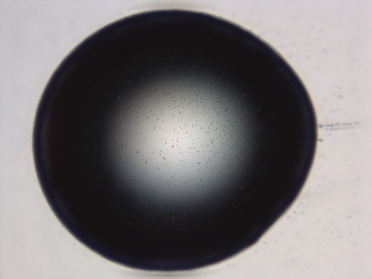 0494_C6_ImagerDefaults_0.jpg