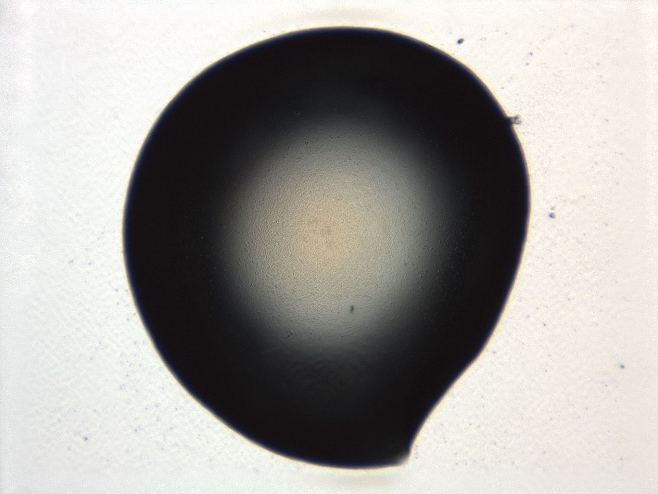 0494_A8_ImagerDefaults_0.jpg