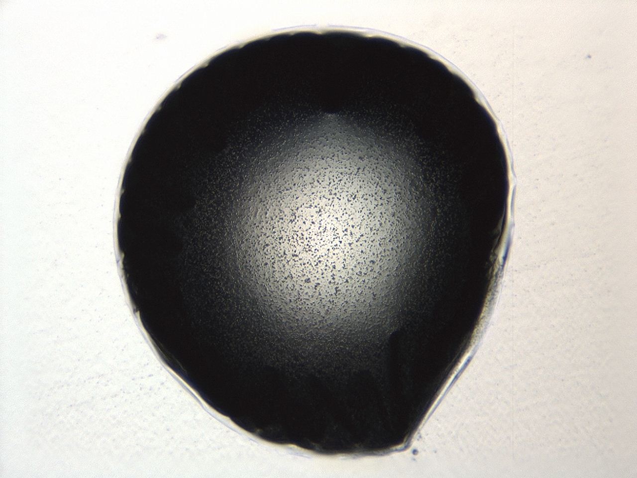 0494_A9_ImagerDefaults_3.jpg
