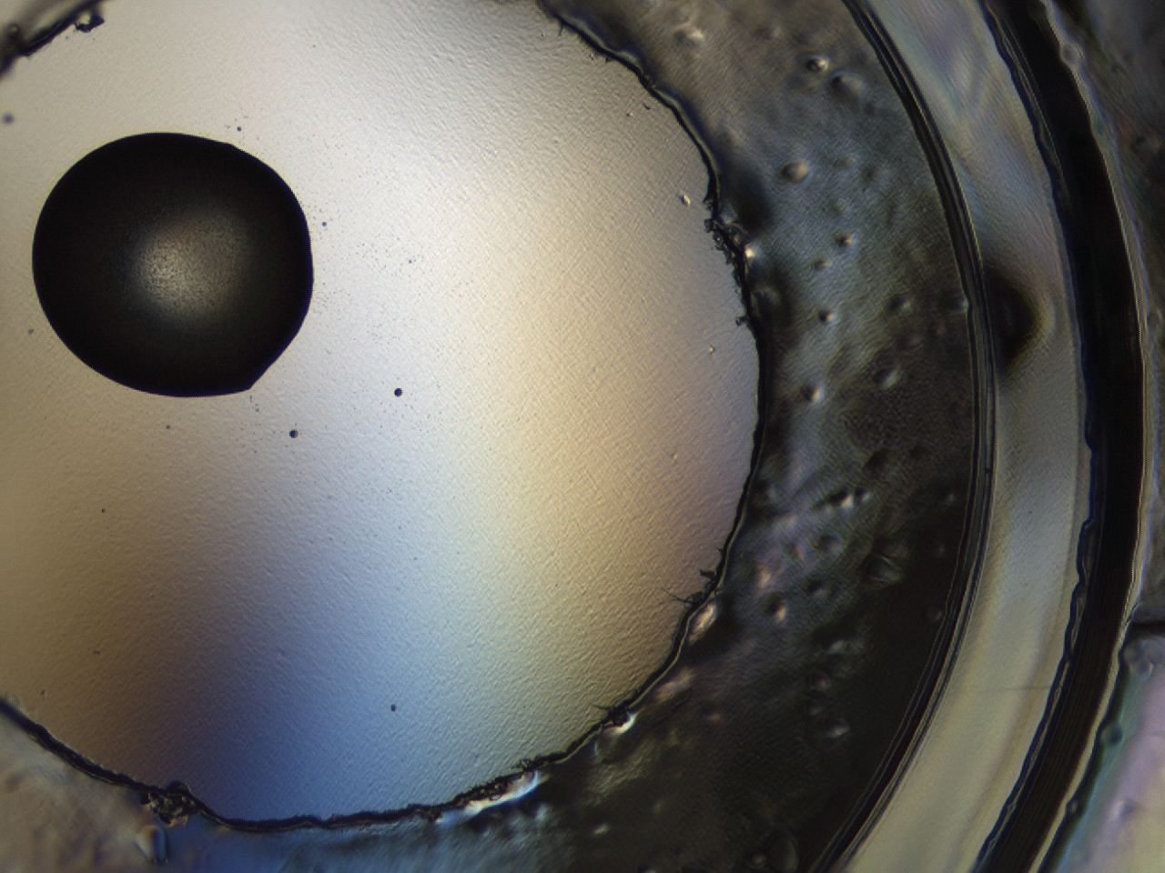 0494_A10_ImagerDefaults_3.jpg