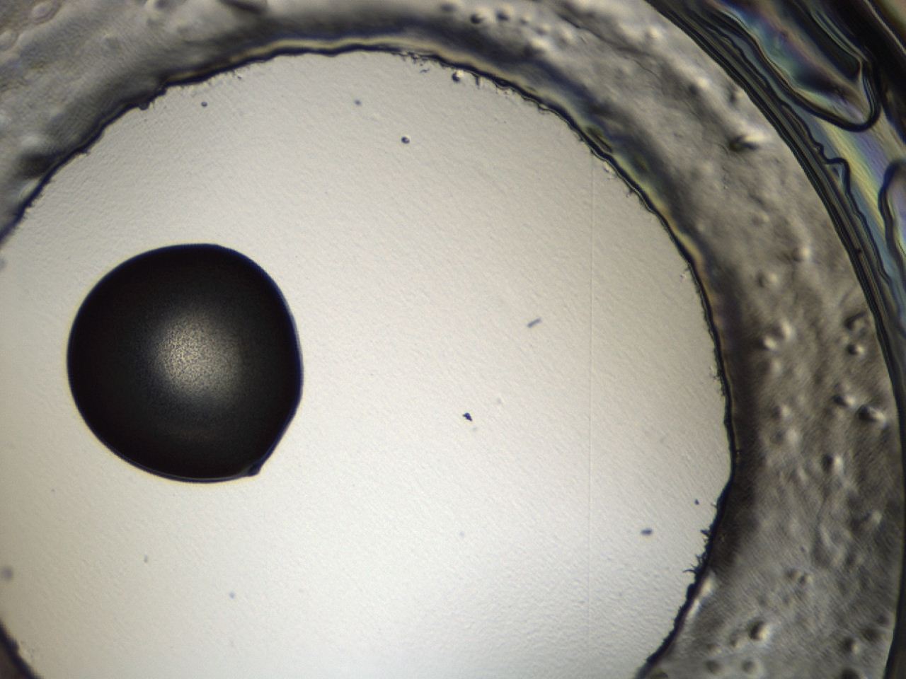 0494_A11_ImagerDefaults_3.jpg