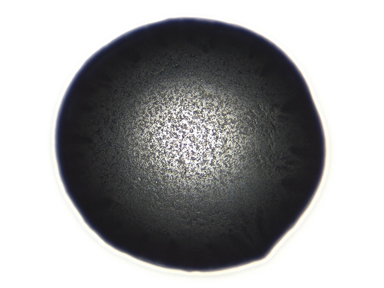 0494_A12_ImagerDefaults_3.jpg