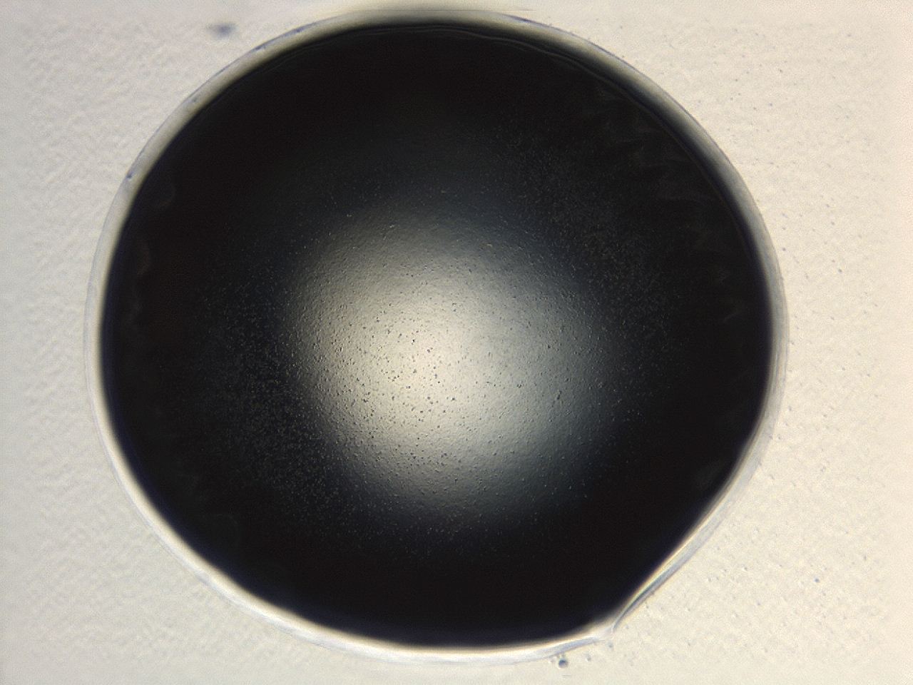 0494_B2_ImagerDefaults_0.jpg