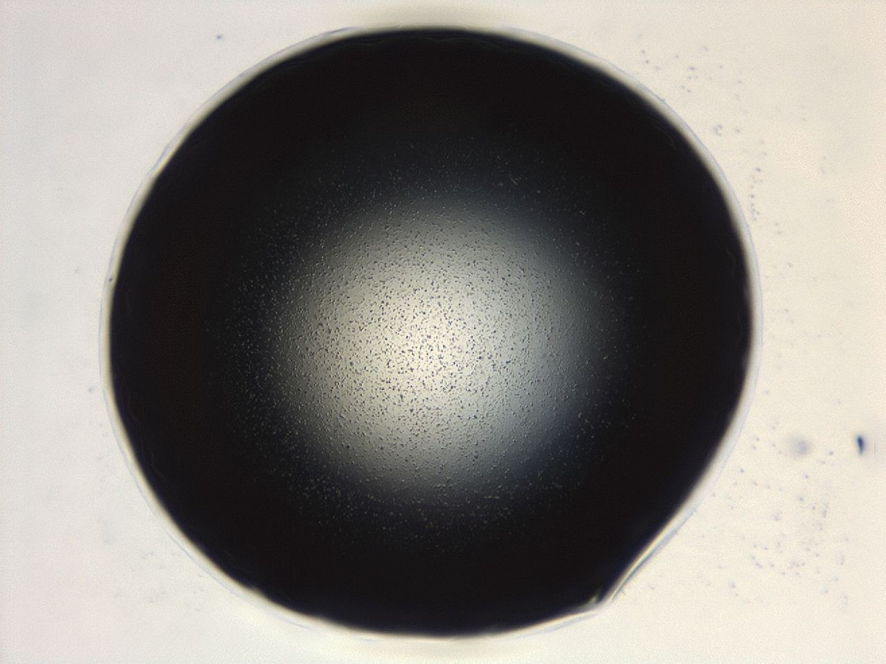0494_B3_ImagerDefaults_0.jpg