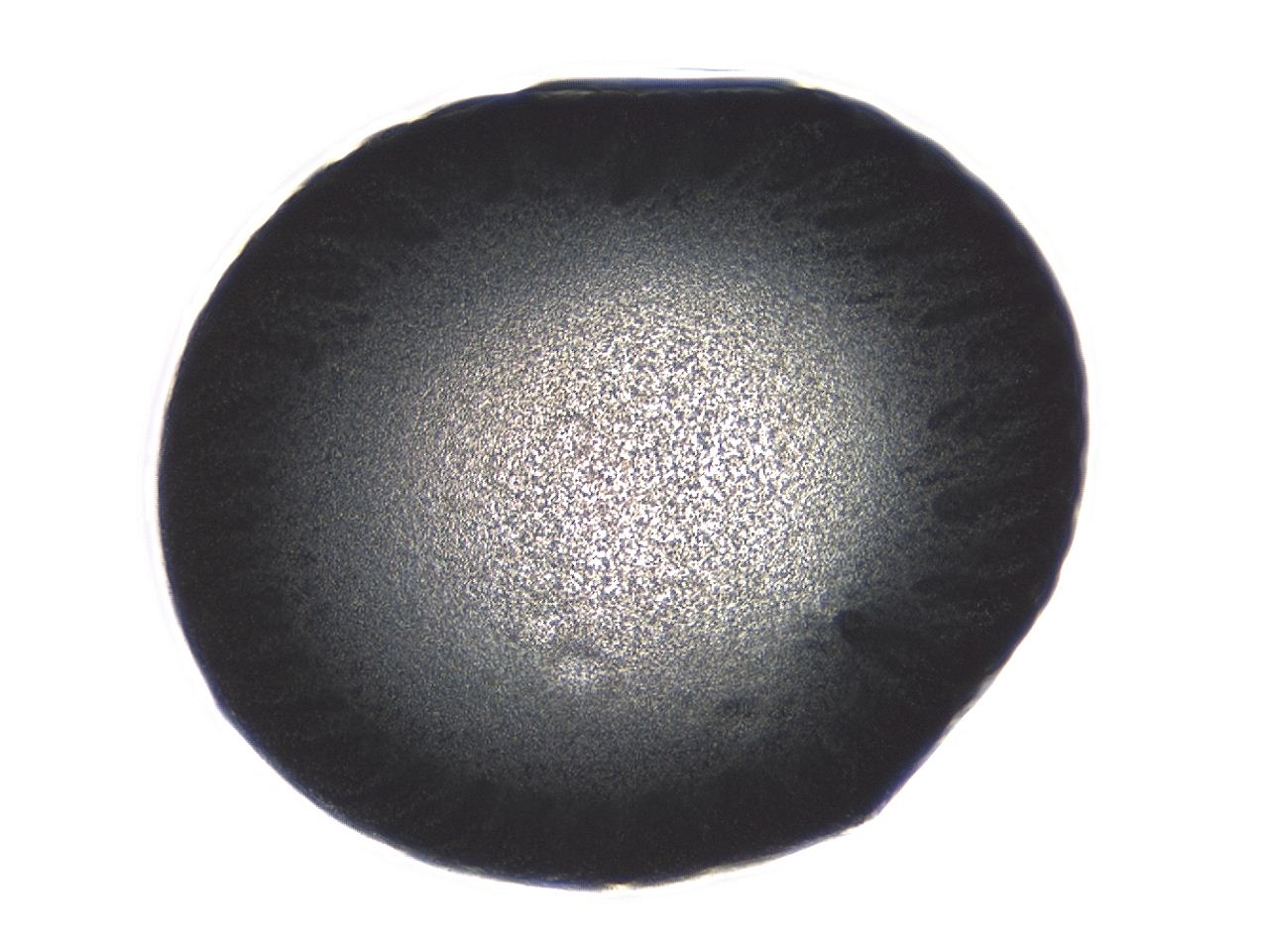 0494_B4_ImagerDefaults_3.jpg