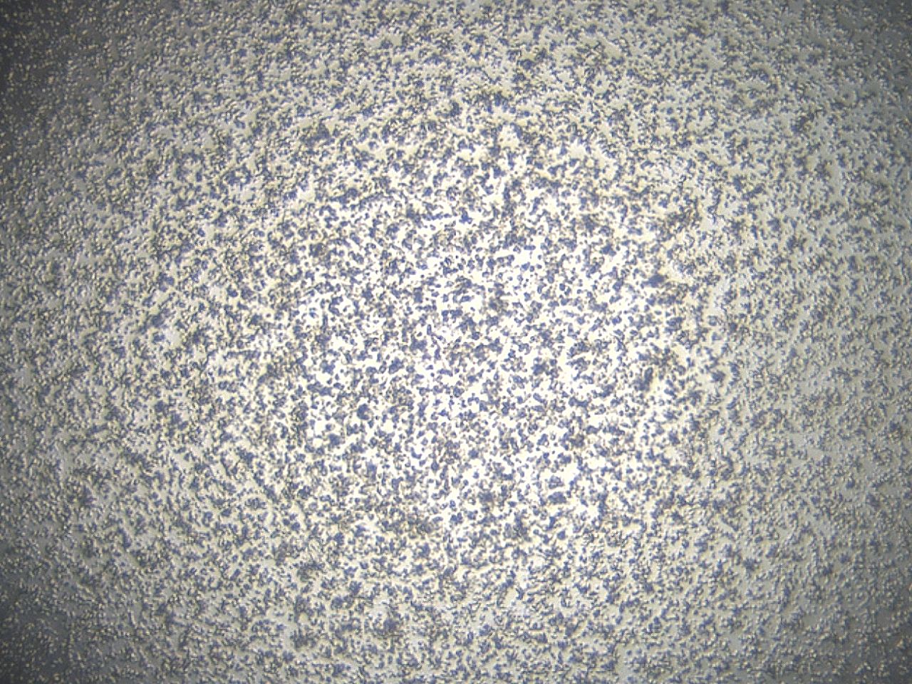 0494_B5_ImagerDefaults_3.jpg