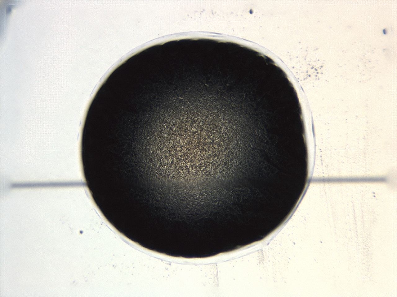 0494_B6_ImagerDefaults_3.jpg