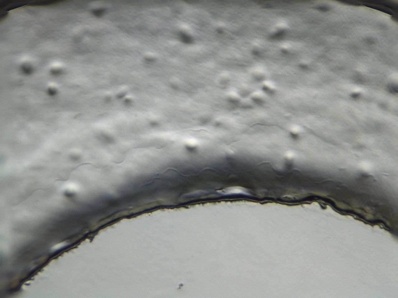0494_B7_ImagerDefaults_3.jpg