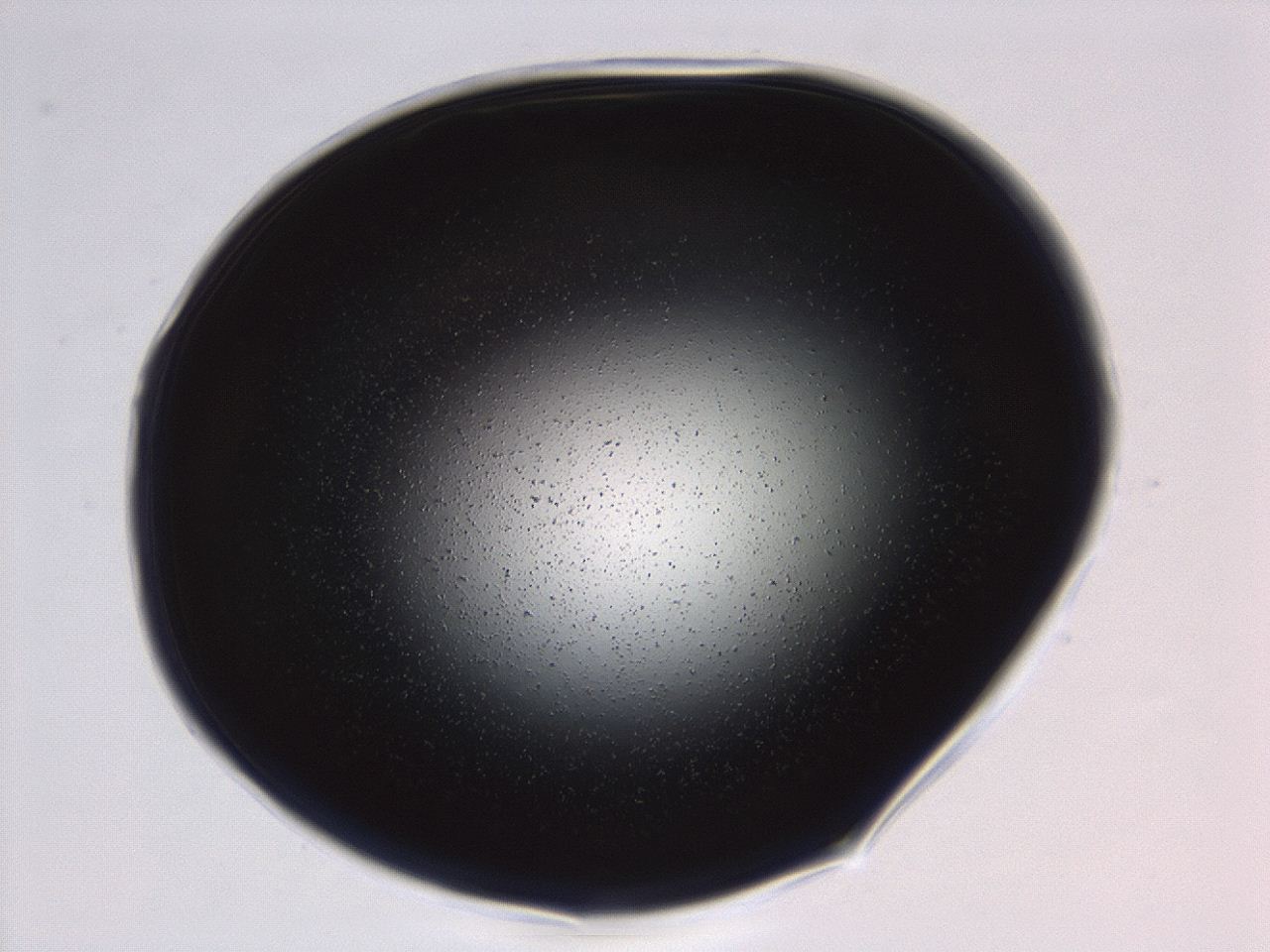 0494_D2_ImagerDefaults_0.jpg