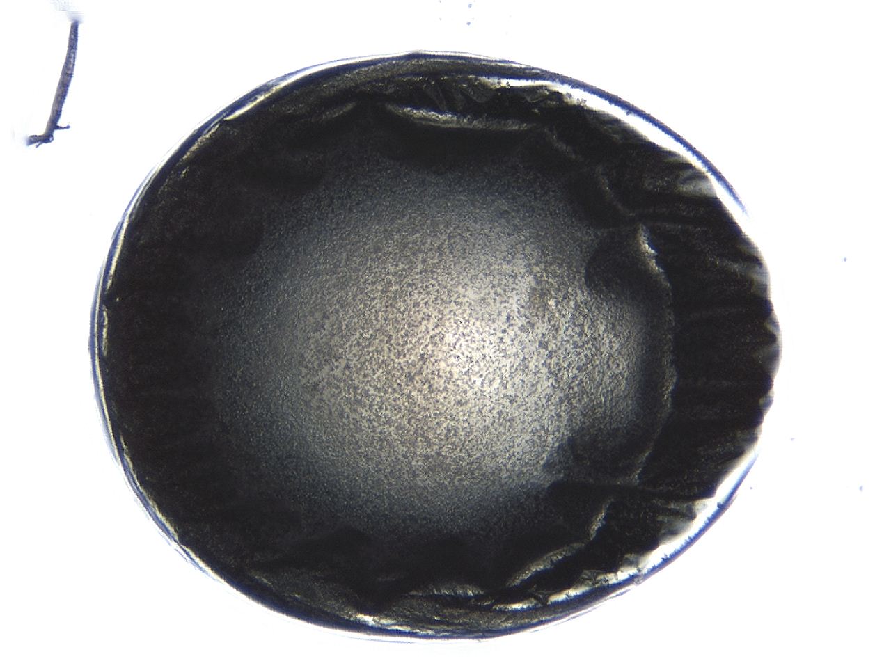 0494_D5_ImagerDefaults_3.jpg