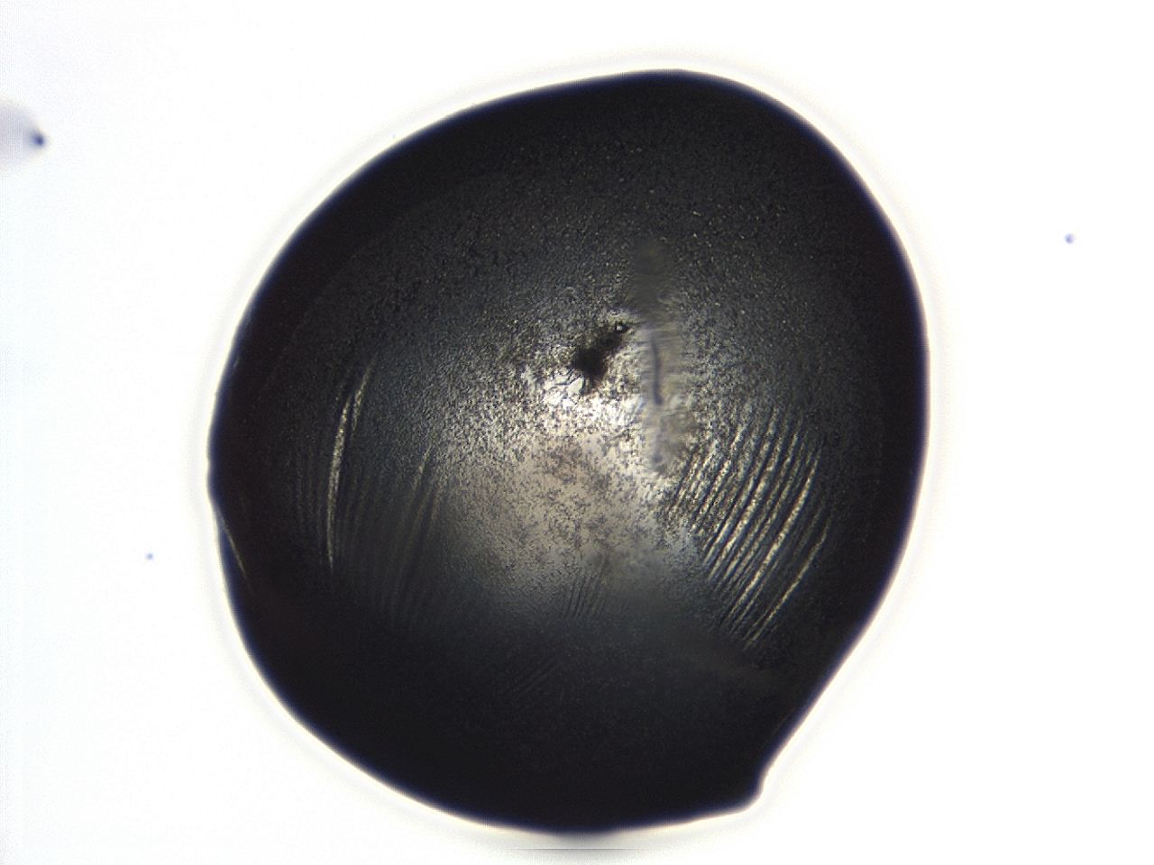 0494_D7_ImagerDefaults_3.jpg
