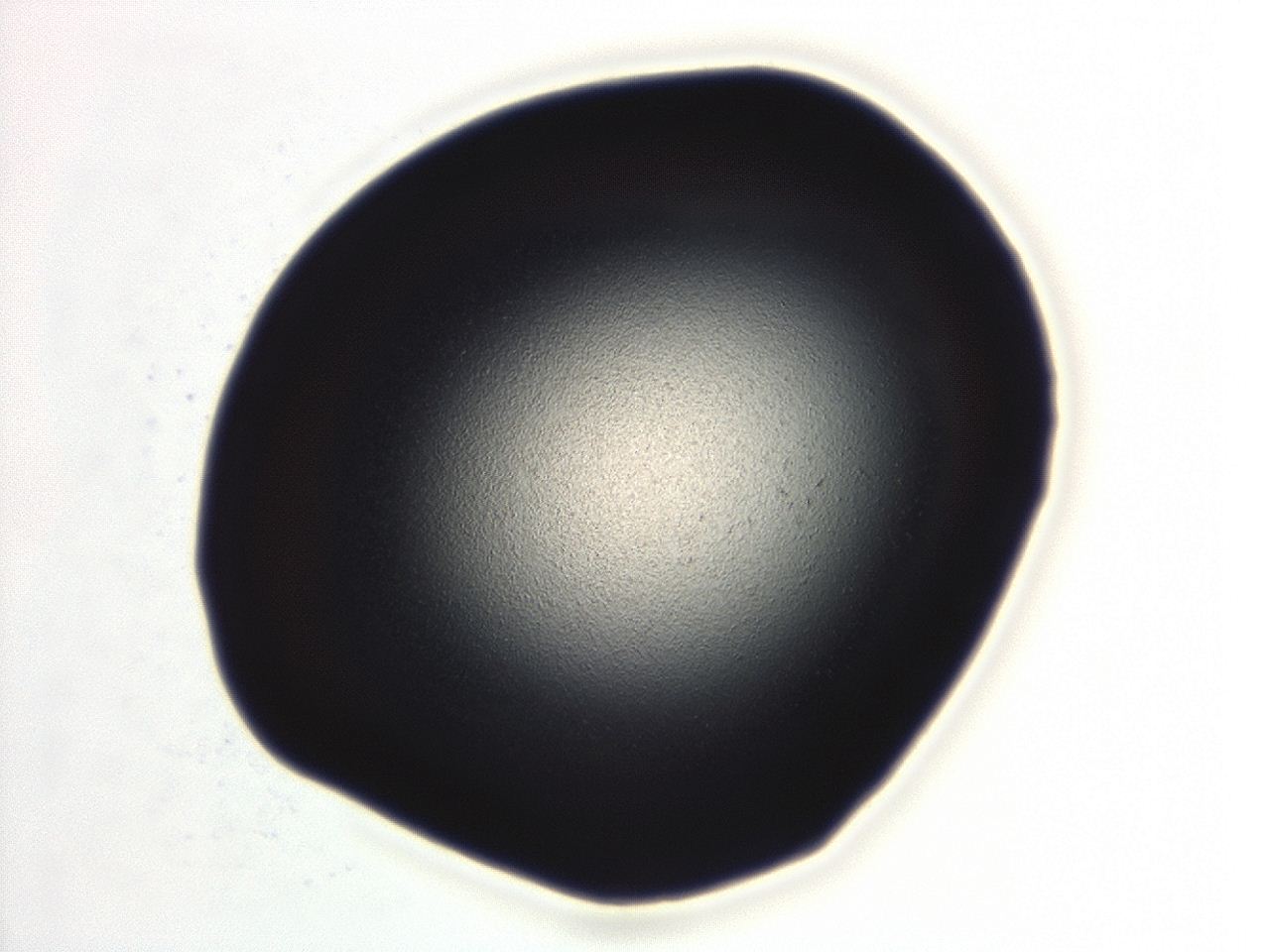 0494_D8_ImagerDefaults_0.jpg