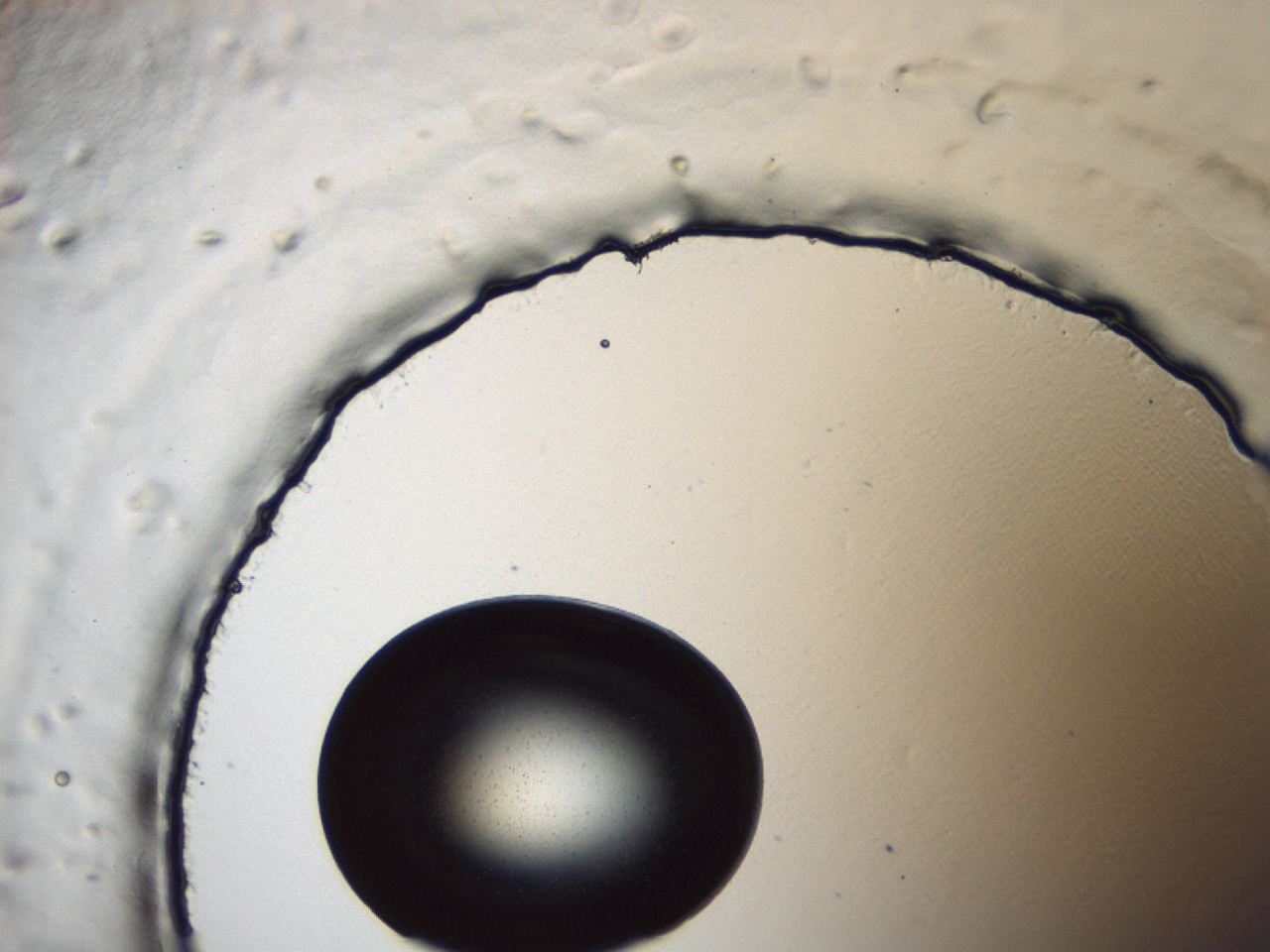 0494_A1_ImagerDefaults_0.jpg