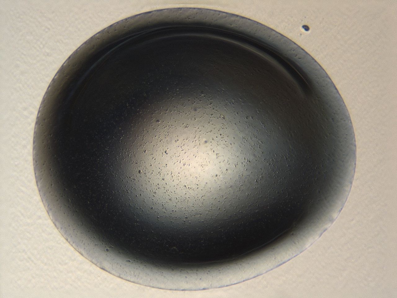 0494_A2_ImagerDefaults_2.jpg