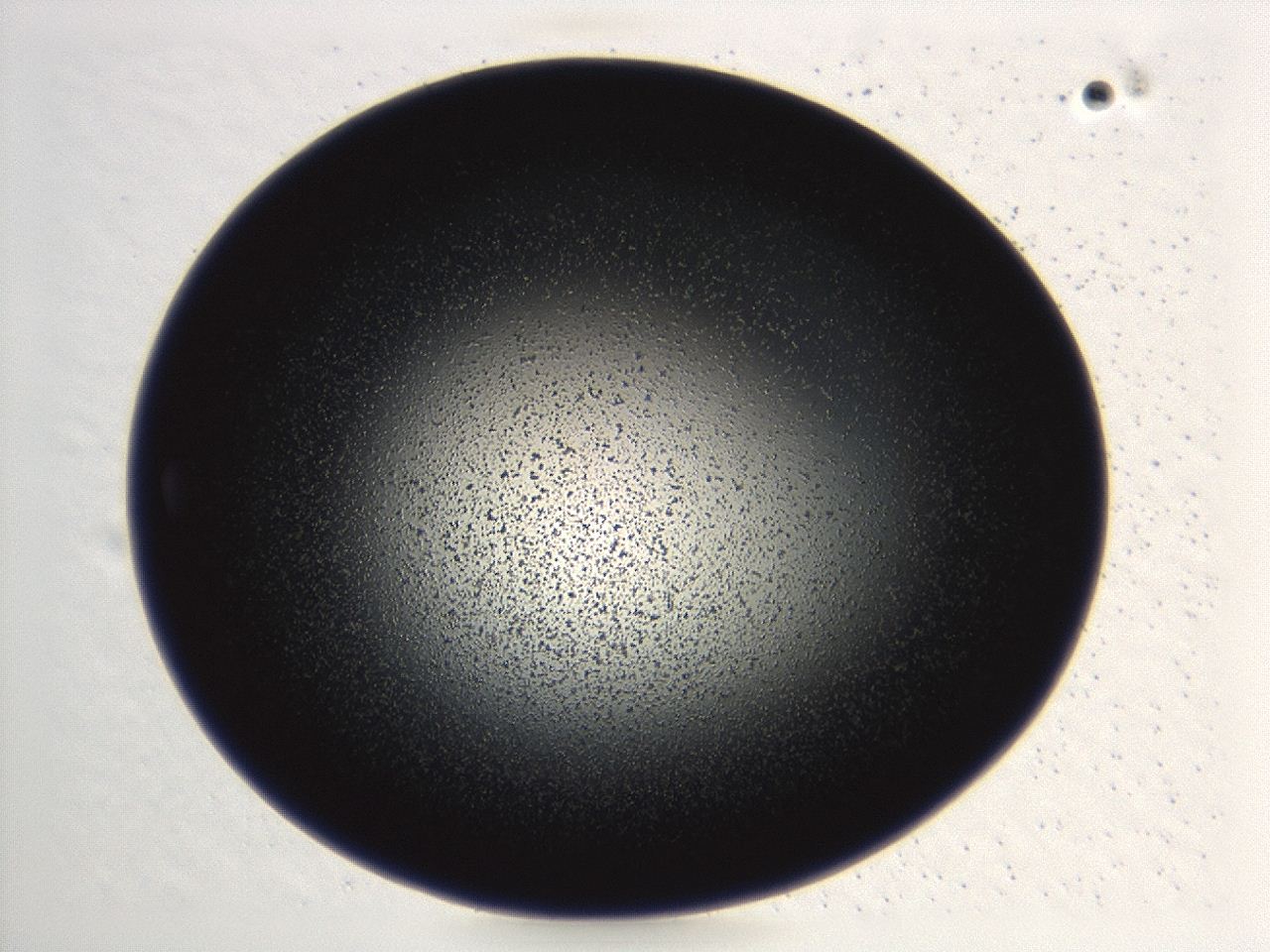 0494_A3_ImagerDefaults_3.jpg