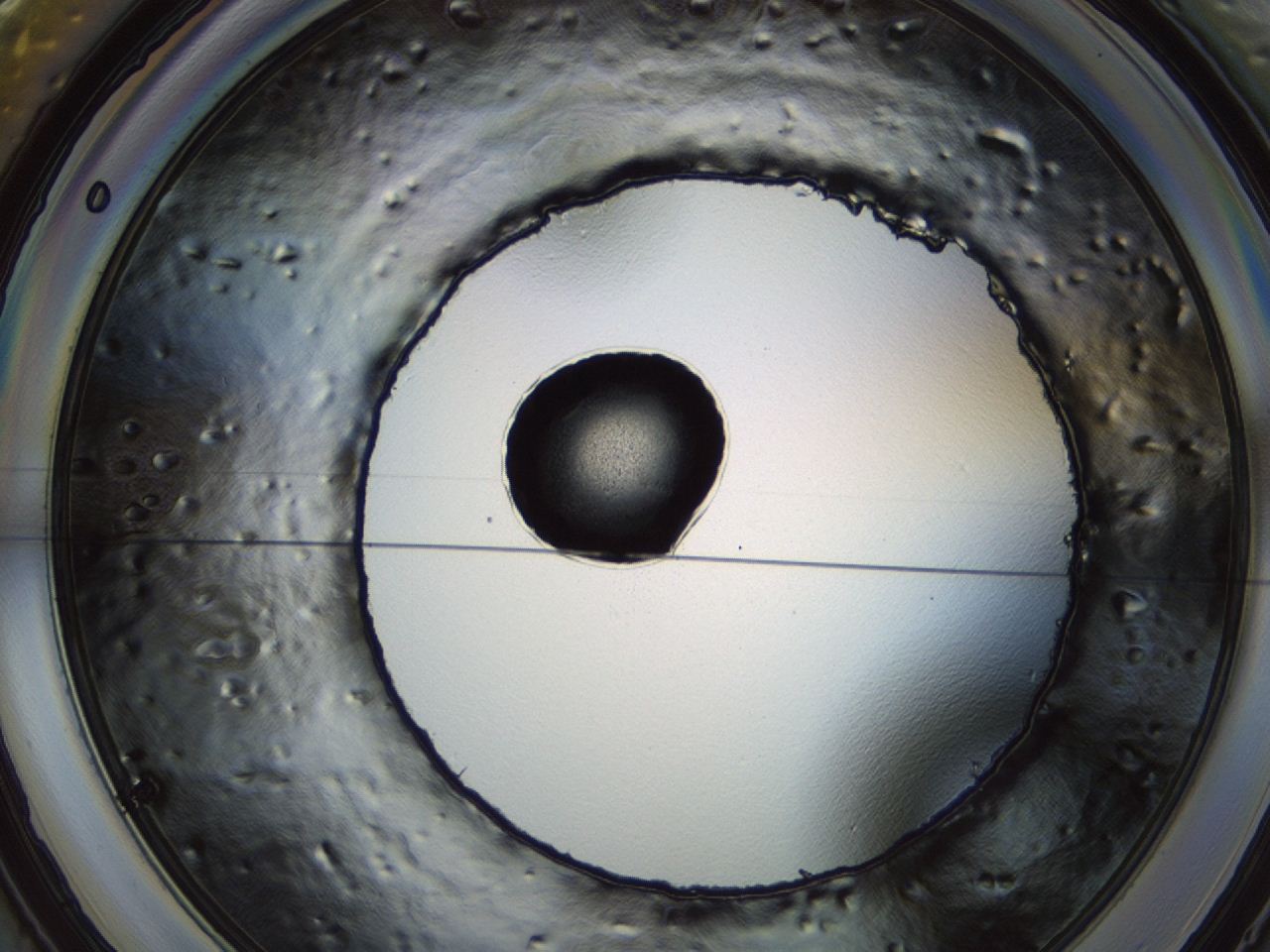 0494_B8_ImagerDefaults_3.jpg