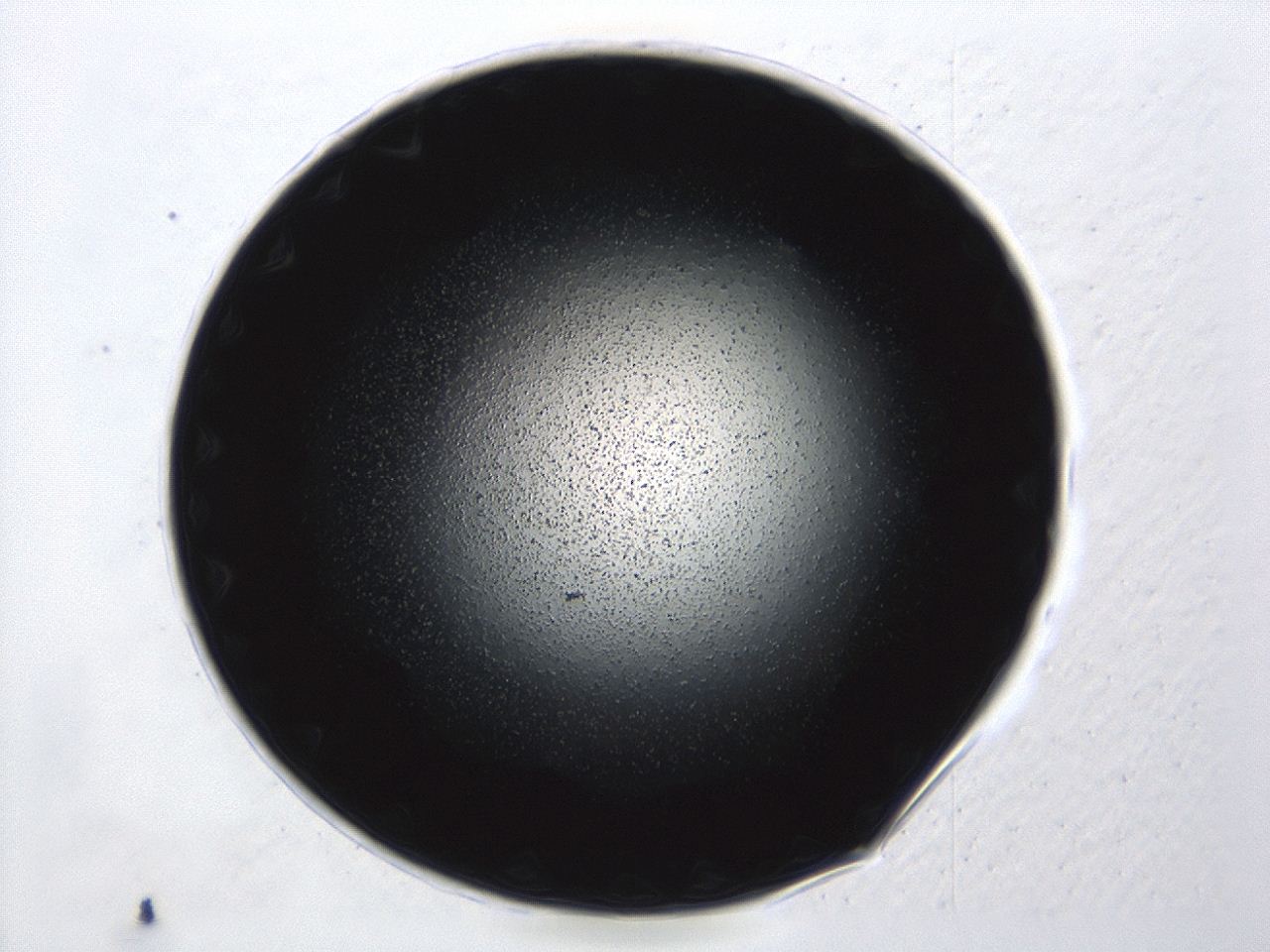 0494_B9_ImagerDefaults_0.jpg