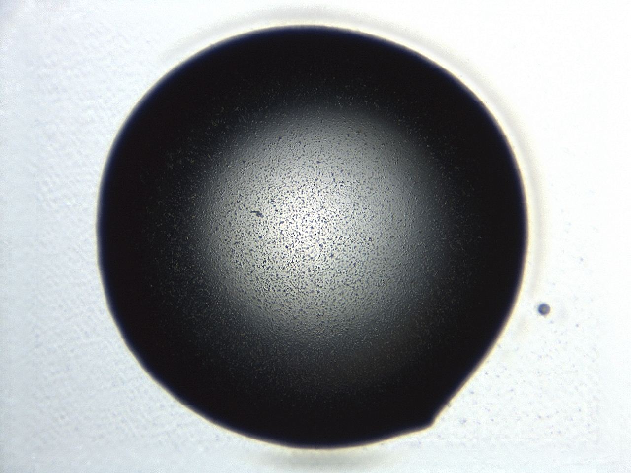 0494_B11_ImagerDefaults_3.jpg