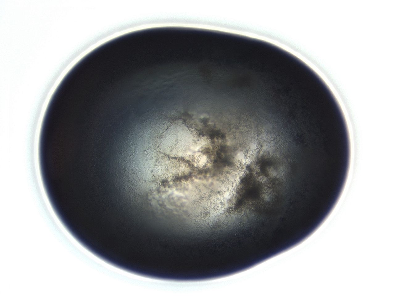 0494_E1_ImagerDefaults_3.jpg