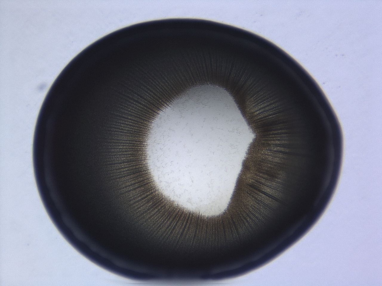 0494_E2_ImagerDefaults_3.jpg