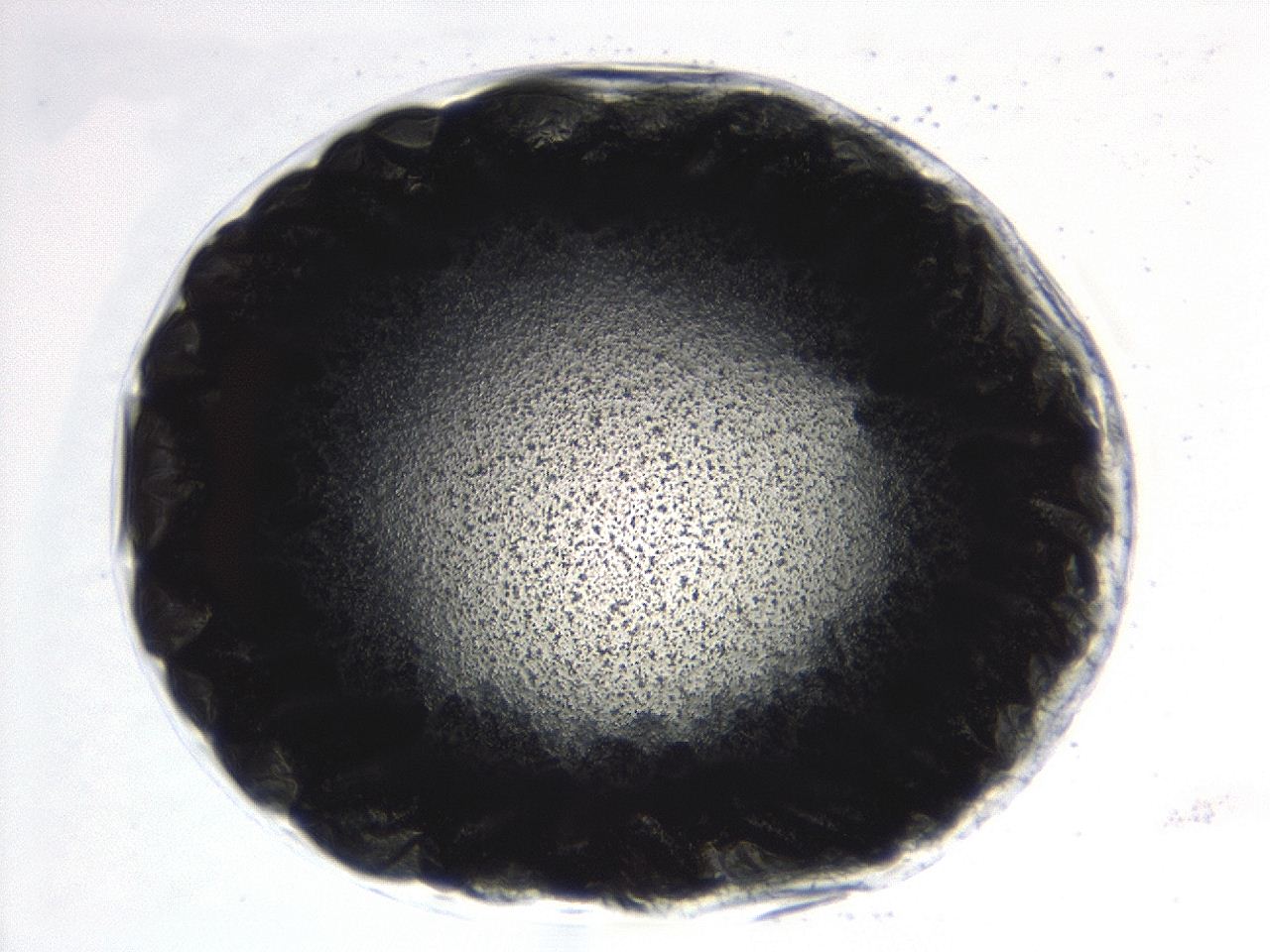 0494_E3_ImagerDefaults_3.jpg