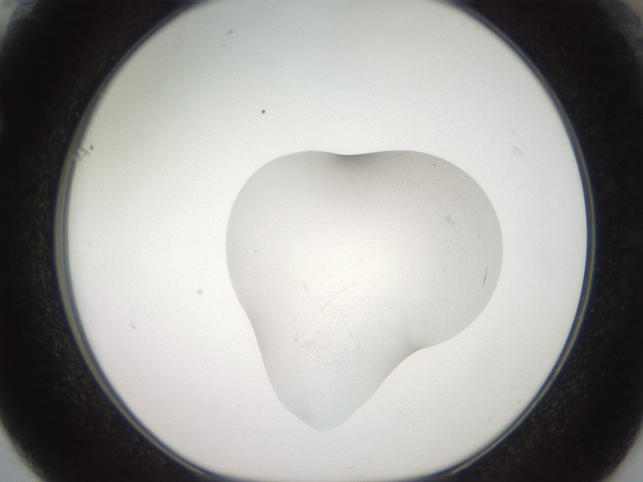 folderID551_plateID3551_batchID20820_wellNum61_profileID1_d1_r317931_ef.jpg