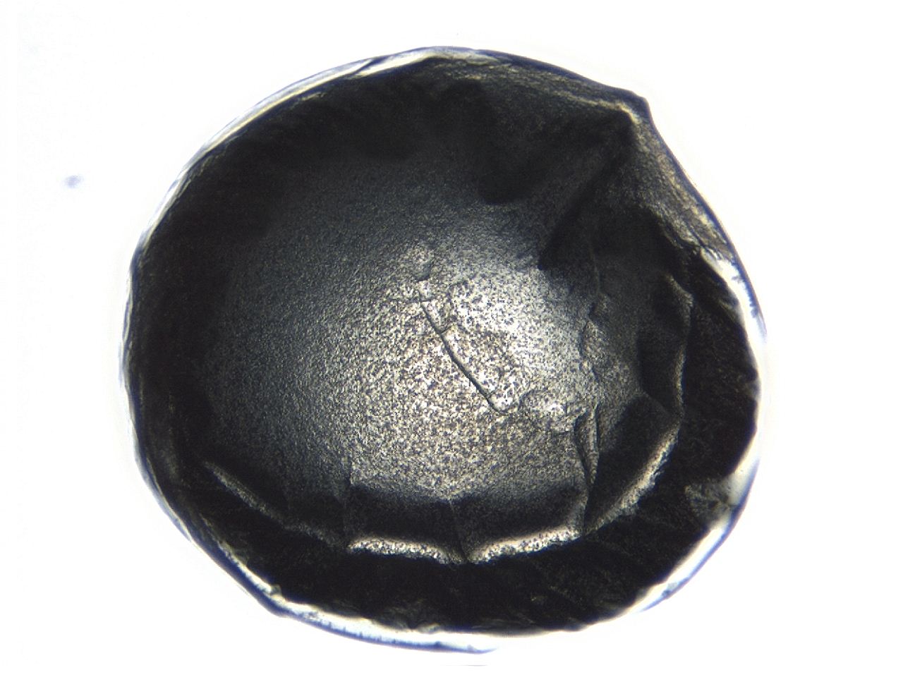 0494_E4_ImagerDefaults_3.jpg