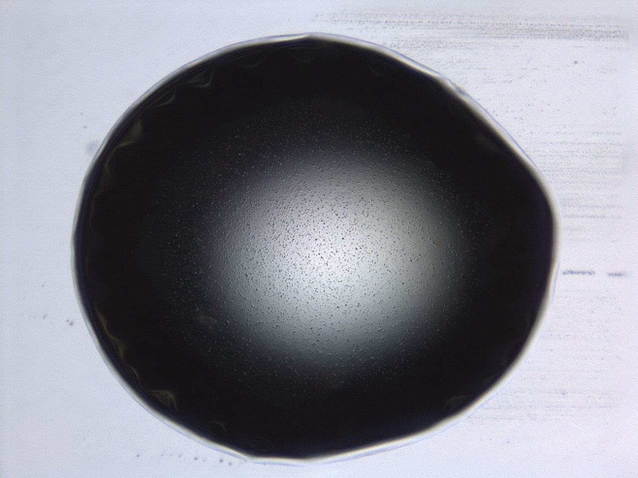0494_E6_ImagerDefaults_0.jpg