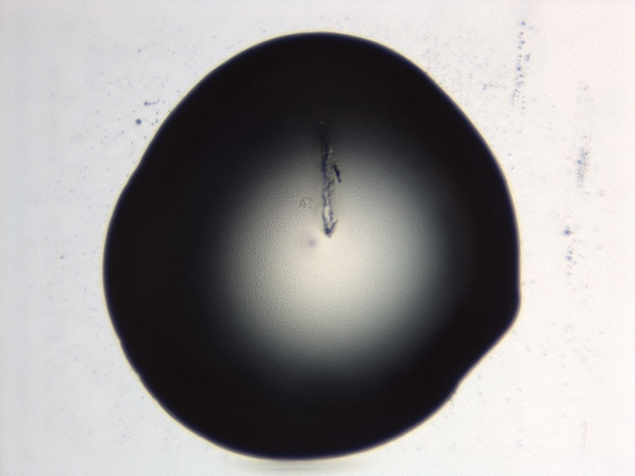 0494_E7_ImagerDefaults_0.jpg