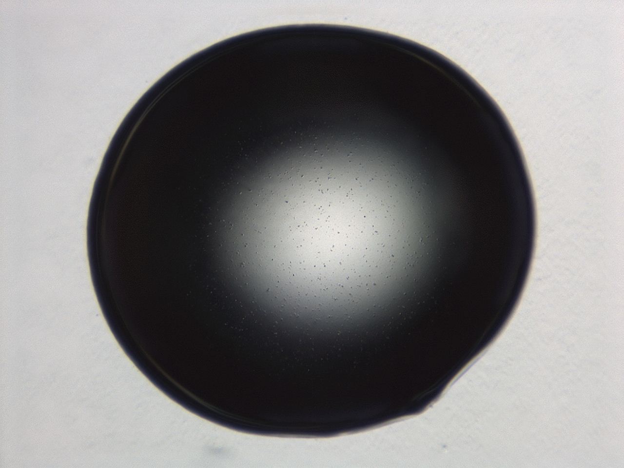 0494_E8_ImagerDefaults_0.jpg