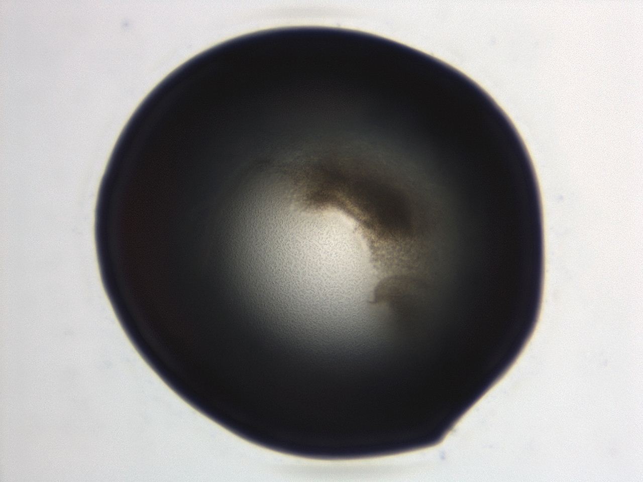 0494_E9_ImagerDefaults_3.jpg