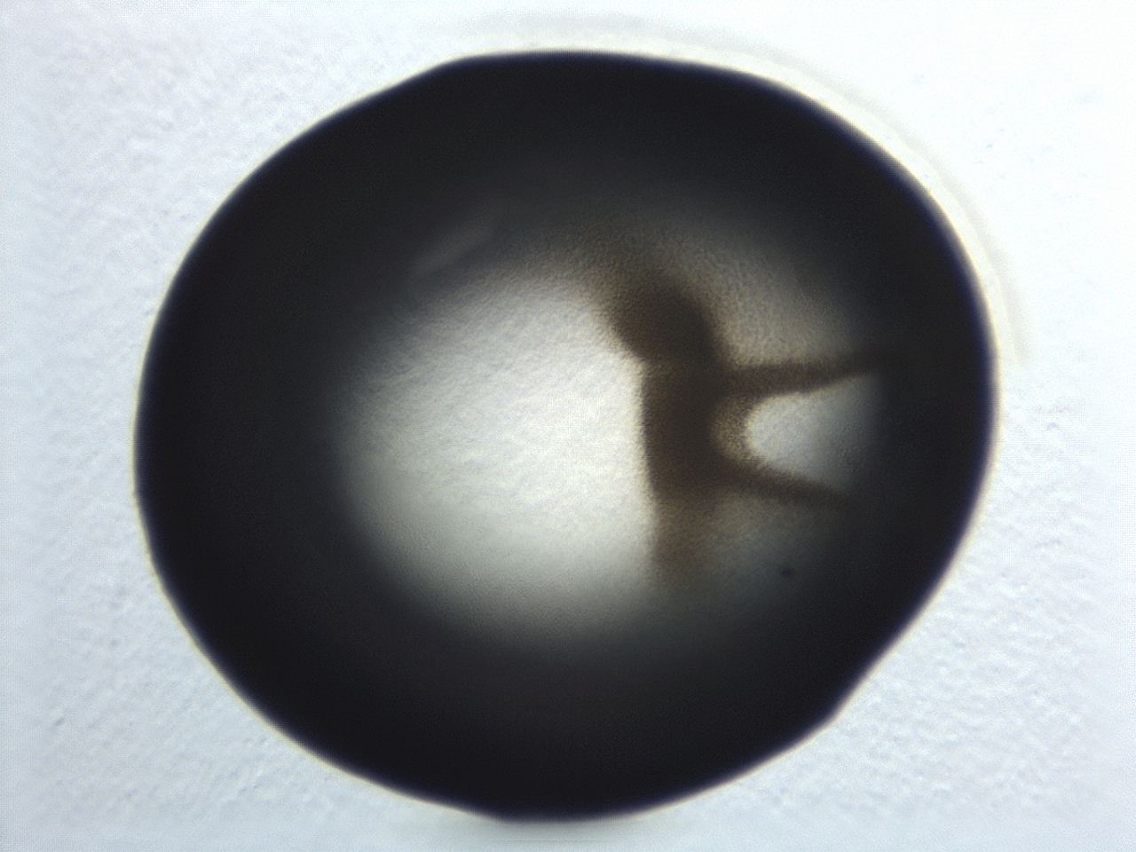 0494_E10_ImagerDefaults_3.jpg